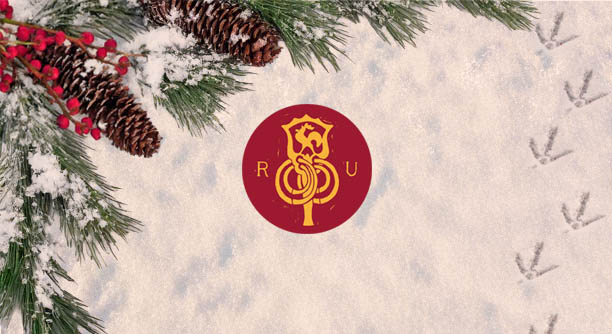 Natale è comunità: un augurio alla Romagna